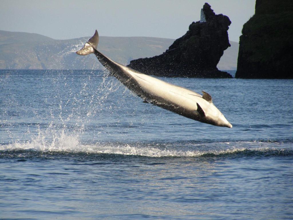 Dingle Skellig Hotel Εξωτερικό φωτογραφία